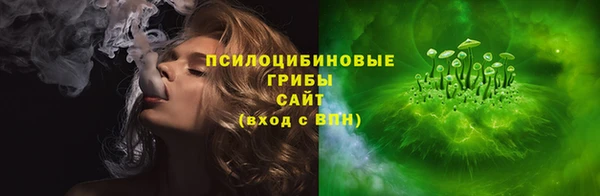 мдпв Киреевск