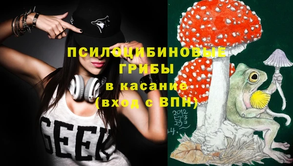 мдпв Киреевск
