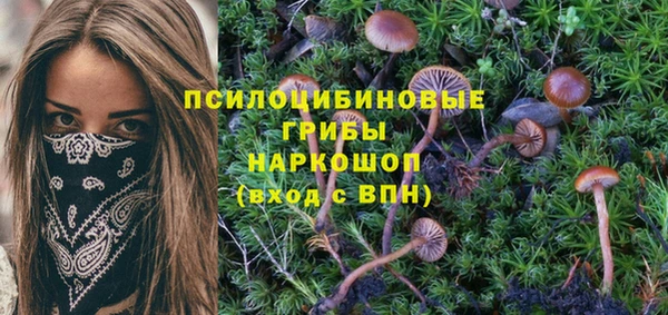 мдпв Киреевск
