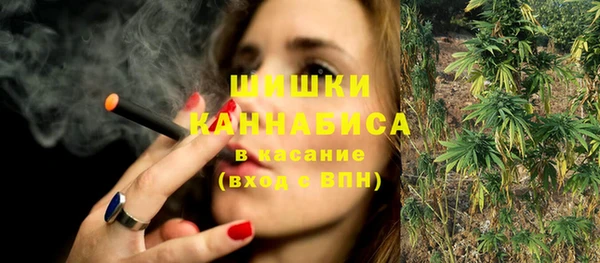 мдпв Киреевск
