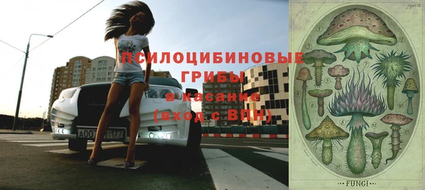 мдпв Киреевск