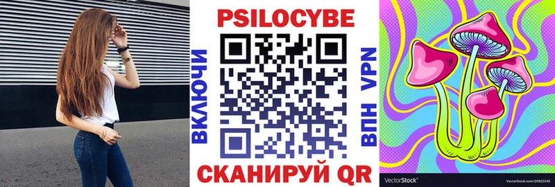 Галлюциногенные грибы MAGIC MUSHROOMS Купить где Курчалой